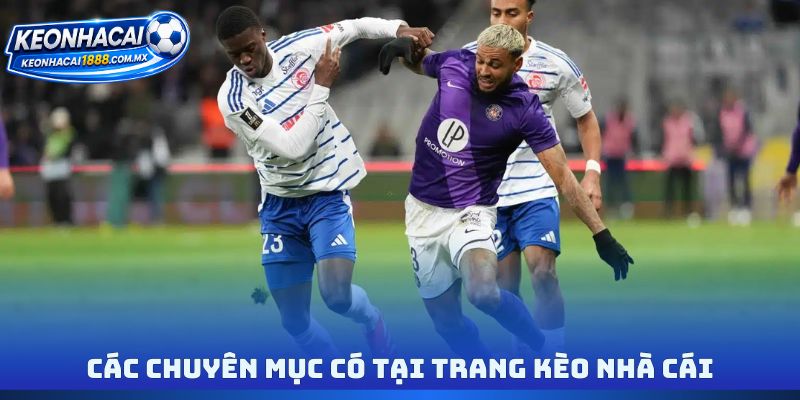 Các chuyên mục có tại trang kèo nhà cái