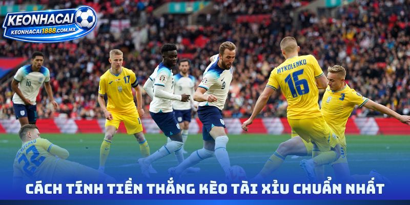 Cách tính tiền thắng kèo tài xỉu chuẩn nhất