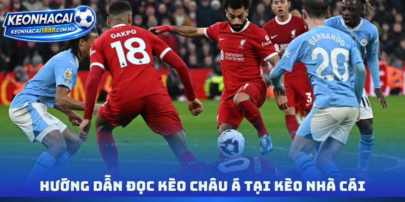 Hướng dẫn đọc kèo châu Á tại kèo nhà cái