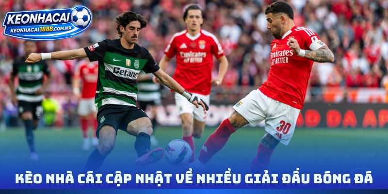 Kèo nhà cái cập nhật về nhiều giải đấu bóng đá