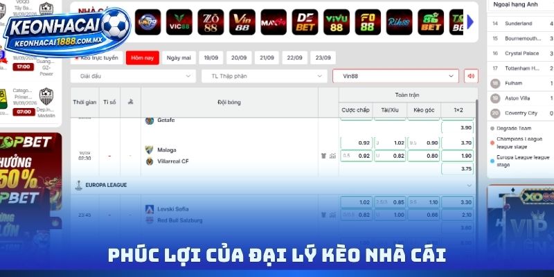 Phúc lợi của đại lý Kèo nhà cái